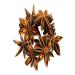 Krk Food Star Anise 100gr - Buy Online on GoSupps.com
