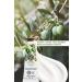 Yves Rocher Moisturizing Hand Cream - Refreshing Olive Citrus - 30ml-90415 - Buy Online on GoSupps.com