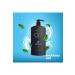DP Daily Perfection Menthol Salt-Free Shampoo 800 ml - Buy Online on GoSupps.com