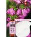 Yves Rocher Concentrated Shower Gel - Romantic Wildflowers - 100ml-77376 - Buy Online on GoSupps.com