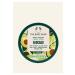 THE BODY SHOP Avocado Body Yogurt 15 Seconds Absorbed Body Moisturizer 200 ml