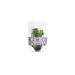 Asia Chai Art Black Magic Tea Bag