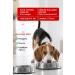 Metapet Special Set for Shedding Dogs - Coat Health Drops and Dry Shampoo - Multivitamin - Buy Online on GoSupps.com