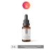 SkinMaster Skin Barrier Strengthening Sebum Production Balancing Niacinamide Serum (Niacinamide 5% + HA) - Buy Online on GoSupps.com