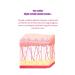 rokkiss 1x Collagen Mask- Tightening and Moisturizing- Korean Product Collagen Face Mask 1 Piece - Buy Online on GoSupps.com