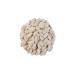 E-Cerez Nev ehir Pumpkin Seeds White 500 Gr - Buy Online on GoSupps.com