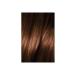 L'Oreal Paris Loreal Paris Excellence Intense Hair Dye 6.32 Caramel Brown - Buy Online on GoSupps.com