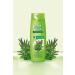 WASH&GO Herbal Essence Shampoo 360 ml x3 Pieces - Buy Online on GoSupps.com