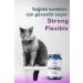 Benifital Strong & Flexible Tablet Glucosamine Tablet for Cats and Dogs Joint Health Support - Buy Online on GoSupps.com