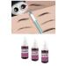 ROSEVELT Permanent Makeup Training Paint A. Coffee (Not for Skin) - Buy Online on GoSupps.com