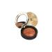 Catherine Arley Terracotta Blush On Luminous Blush - Baked Bronze Shades - Buy Online on GoSupps.com