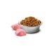 N & D Prime Grain Free Chicken and Pomegranate Adult Cat Dry Food 5 Kg - Buy Online on GoSupps.com