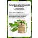 Gokcek Healing Gurmar Mixed Tea (GYMNEMA MIXED HERBAL TEA) - Buy Online on GoSupps.com