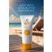 Sun Brown Sunscreen Face Cream Spf50 75 ml - Buy Online on GoSupps.com