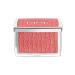 Dior Backstage Rosy Glow Blush