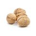 FAMOUS HEALING Chandler Walnut Thin Shelled Local New Crop 4 Kg