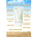byeolee Centella Asiatica (CICA) Hybrid Colorless Smooth and Brightening Korean Sun Cream Spf50 / Pa 50gr - Buy Online on GoSupps.com