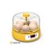 Mini Automatic Home Type Incubator: Electric Chicken And Bird Incubator 6 Eggs Mx-6 - Buy Online on GoSupps.com