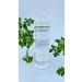 Herbalife Aloe Concentrate Drink 473 Ml Aloevera - Buy Online on GoSupps.com