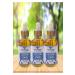 Messina Group - Organic Ozone Oil 50 ml - Buy Online on GoSupps.com
