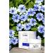 Dermoday Blue Anemone Day Blue Anemone Flower Day Cream - Buy Online on GoSupps.com