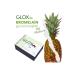 Glox Tea Herbal Mixed Tea - Buy Online on GoSupps.com