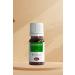 laurel nature Pumpkin Seed Oil 20 ml - Buy Online on GoSupps.com