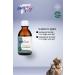 PAT FLY Derma Skin and Fur Health Liquid for Cats and Dogs 50 ml - Buy Online on GoSupps.com
