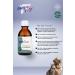 PAT FLY Derma Skin and Fur Health Liquid for Cats and Dogs 50 ml - Buy Online on GoSupps.com