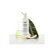 Kiehl's SHAMPOO WITH COCONUT OIL THAT NOURISHES HAIR FROM ROOT TO TIP 75 ML PGROUP.59 - Buy Online on GoSupps.com