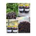 BERT ZL O LU LOCAL URMU MULBERRY MOLASSES 1 KG - Buy Online on GoSupps.com