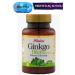 Balen Ginkgo Biloba Tablet Supplementary Food 600 Mg 60 Pieces