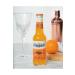 Apricot Cola Natural Mineral Orange Flavored Carbonated Drink 24 Pieces - Buy Online on GoSupps.com