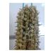 Karg Local Product Market Karg Dried Flower Okra-(50 GR) Our Region's Famous Natural Tiny Flower Okra - Buy Online on GoSupps.com
