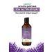 Agarta Natural Lavender Oil Balancing Shampoo 400 ml - Buy Online on GoSupps.com