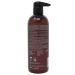 Pura D'or Color Harmony Purple Shampoo 473ML - Buy Online on GoSupps.com