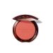 Guerlain Terra Blush 05 Blush