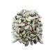 Gum Tree Brazil Nut 1 Kg Gum Tree - Buy Online on GoSupps.com