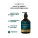 MINOXFEN Anti Hair Loss Shampoo Organic Vegan Argan Oil Pump Bottle Anti Hair Loss Hair Care 500ml - Buy Online on GoSupps.com