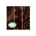 Garnier Nutrisse Intense Nourishing Permanent Cream Hair Dye 5.35 Chocolate Brown - Buy Online on GoSupps.com
