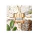 EST E LAUDER Estee Lauder Revitalizing Supreme+ Youth Power Soft Creme (30 Ml) - Buy Online on GoSupps.com