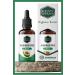 KENT GARDEN Avocado Seed Oil 100 ml Cold Pressed 0 Pure Natural and Additive-Free Cold Press Avocado Oil