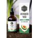 KENT GARDEN Avocado Seed Oil 100 ml Cold Pressed 0 Pure Natural and Additive-Free Cold Press Avocado Oil - Buy Online on GoSupps.com