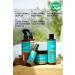 PANORAMA PROFESSIONAL Professional Bond Plex Intensive Repair Shampoo-400 Ml / Vegan / 12 Effects in 1 - Buy Online on GoSupps.com