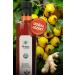 From Local to Kitchen Ginger Hawthorn Vinegar 500 Ml - Buy Online on GoSupps.com