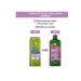 Yves Rocher Curly and Wavy Hair / Boucles - Curl Defining Shampoo - Buy Online on GoSupps.com