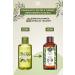 Yves Rocher Moisturizing Shower Gel - Refreshing Olive Citrus - 200ml-15503 - Buy Online on GoSupps.com