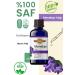 KNOWLEDGE OF HEALING Violet Oil 20 ml