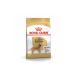 Royal Canin Golden Retriever Adult Dog Food 12 Kg