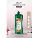 Suave Almond&shea Butter (ALMOND&SHEA OIL SHAMPOO)